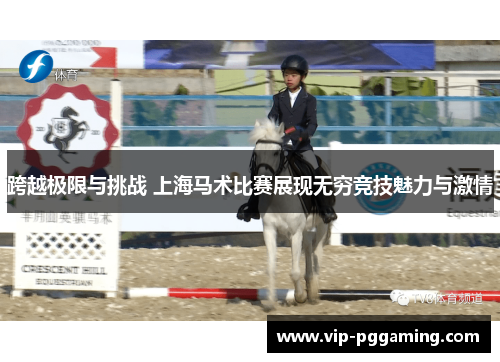 跨越极限与挑战 上海马术比赛展现无穷竞技魅力与激情