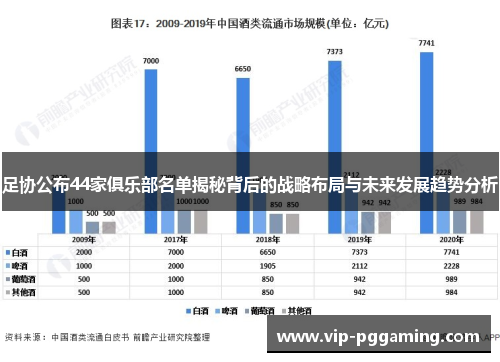 足协公布44家俱乐部名单揭秘背后的战略布局与未来发展趋势分析