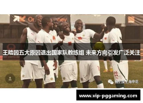 王皓因五大原因退出国家队教练组 未来方向引发广泛关注