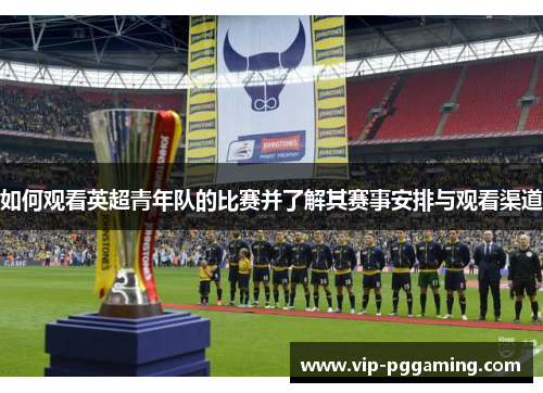 如何观看英超青年队的比赛并了解其赛事安排与观看渠道 如何观看英超青年队的比赛并了解其赛事安排与观看渠道