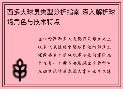 西多夫球员类型分析指南 深入解析球场角色与技术特点