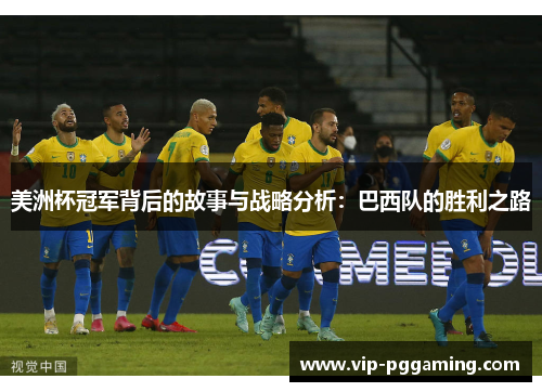 美洲杯冠军背后的故事与战略分析：巴西队的胜利之路