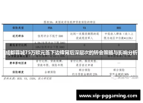 成都蓉城75万欧元签下边锋背后深层次的转会策略与影响分析