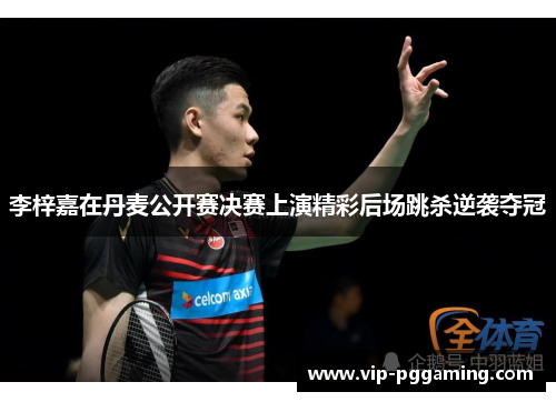 李梓嘉在丹麦公开赛决赛上演精彩后场跳杀逆袭夺冠